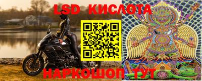 PSILOCYBIN Волжский